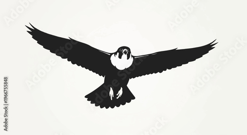 Silhouette of a bird of prey with outstretched wings