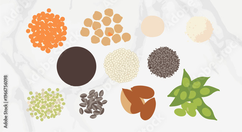 Assortment of grains, legumes, and nuts on a textured surface
