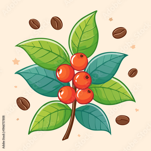 Branch of fresh coffee berries with green leaves showing the natural growth of organic arabica plant beans - Vector Illustration