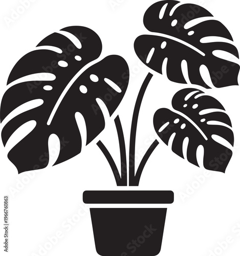 Monstera deliciosa plant silhouette in ceramic pot tropical leaf decor isolated on white.