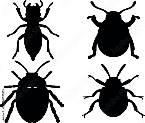 beetle silhouette vector Set, bug black symbol, beetle icon
