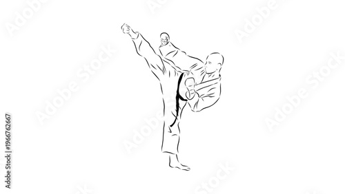 A minimalist vector illustration of a karate practitioner in a dynamic kick pose