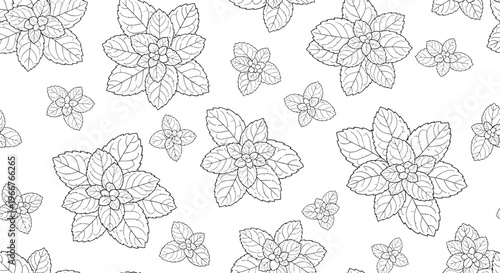 Seamless pattern of detailed mint or basil leaf outlines provides a fresh background for culinary and natural product packaging.
