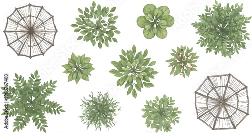 Top view landscape trees and garden umbrellas, architectural site plan symbols for landscaping design, set of 11 vector plant and patio icons