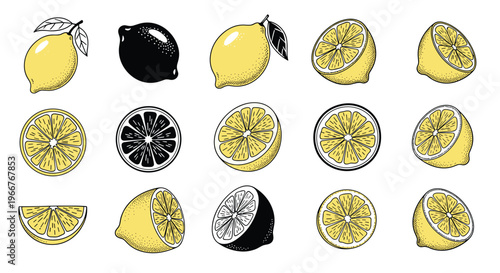 Grid of lemon illustrations in various styles featuring whole fruits, halves, and sliced wedges for refreshing beverage and food labels.