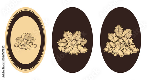 Vintage style illustrations of cashew nut clusters inside decorative oval frames for gourmet snack packaging and organic food labels.