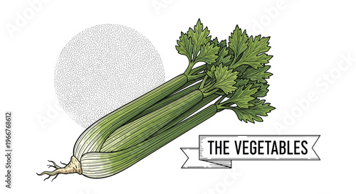 Detailed hand-drawn illustration of a fresh celery stalk with leaves and a vintage label reading The Vegetables on white.
