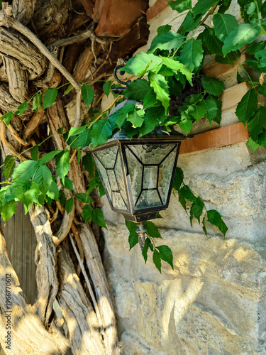 Classic vintage street lamp mounted on stone wall, partially covered by dense thickets of ivy in sunny summer day. Close-up. Copy space