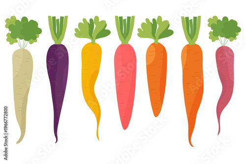 Set of five colourful rainbow carrots including purple, yellow, orange, and reddish varieties. Fresh organic root vegetables with green tops for healthy cooking and farming concepts.