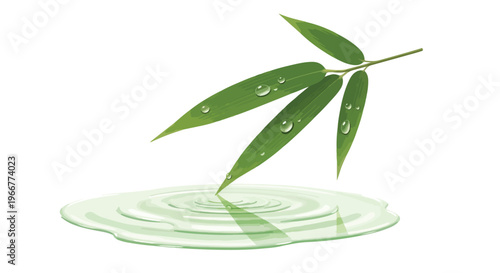 Zen bamboo leaves with water drops and ripple effect vector illustration. Green bamboo foliage touching water surface, spa and wellness concept design element.