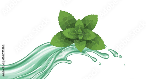 Water splash with mint leaves vector illustration, green herbal liquid wave, fresh organic drink and skincare concept for packaging, labels, ads