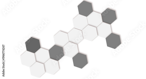 Minimal Gray and White Hexagon Pattern Abstract Background for Modern Technology and Business Design.