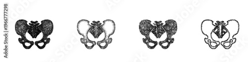 Sketch pelvis icon design set
