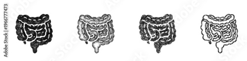 Sketch intestines icon design set