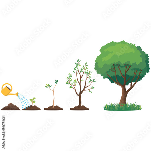 Stages of plant growth illustrated with a small tree being watered