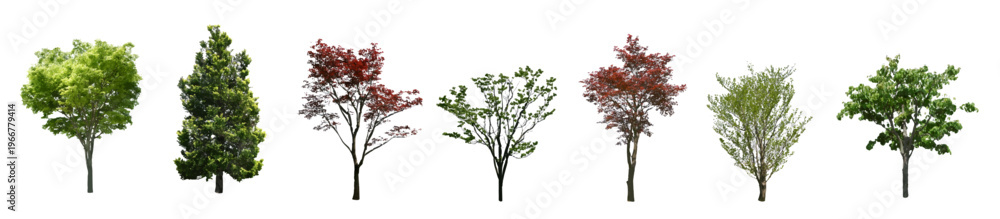 Fototapeta premium Front View Vector Icons of Trees and Plants for Floor Plan and Architectural Design Projects
