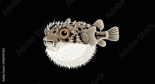 A spiky, inflated pufferfish with a patterned body and a round, fuzzy belly