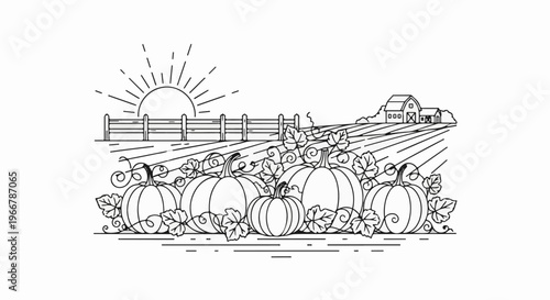 A simple line drawing of a farm scene with pumpkins in the foreground and a barn