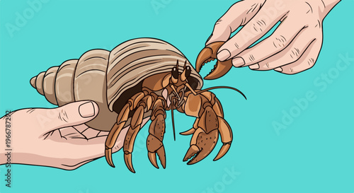 Hands carefully hold and offer a hermit crab with its large shell