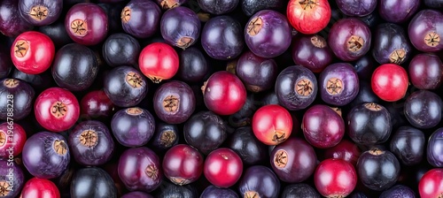 A Beautiful Abundance of Deep Purple Berries in a Colorful Macro Still Life Image Display.