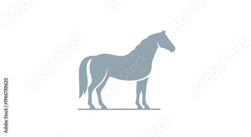 Gray Horse Silhouette Standing on White Background