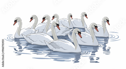 A flock of elegant white swans glides gracefully on serene blue water