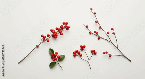 Vibrant red berries on minimalist branches, a festive and natural decoration for the winter season, perfect for holiday greetings and designs