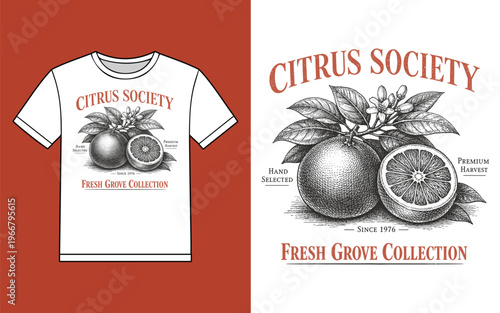 Citrus Society Fresh Grove Collection Vintage Orange Engraving T‑Shirt Design Vector Illustration