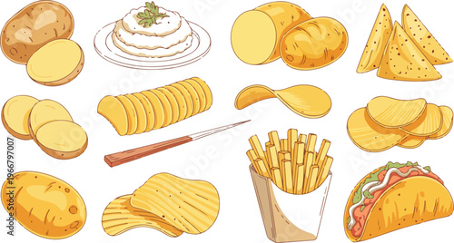 Flat colorful illustration of potato varieties featuring spiral chips, french fries, potato wedges, mashed potatoes, slices, and potato taco in grid layout