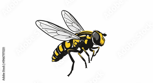 A detailed illustration of a yellow and black striped insect with translucent wings