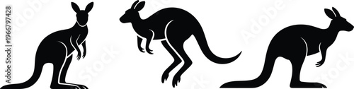 PrintKangaroo silhouettes in different poses, standing jumping crouching designs, black vector artwork, wildlife illustration, Australian animal icon, nature graphic element