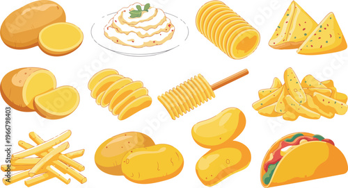 Flat colorful illustration of potato varieties featuring spiral chips, french fries, potato wedges, mashed potatoes, slices, and potato taco in grid layout