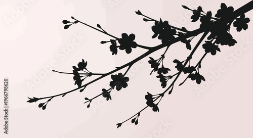 Delicate silhouette of a blooming cherry blossom branch with small flowers and buds against a soft gradient pink and white background evoking springtime and natural beauty