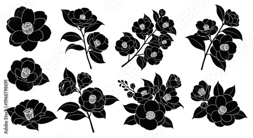 Elegant black camellia flower silhouettes isolated on white background delicate botanical illustrations for design and decoration vector art collection