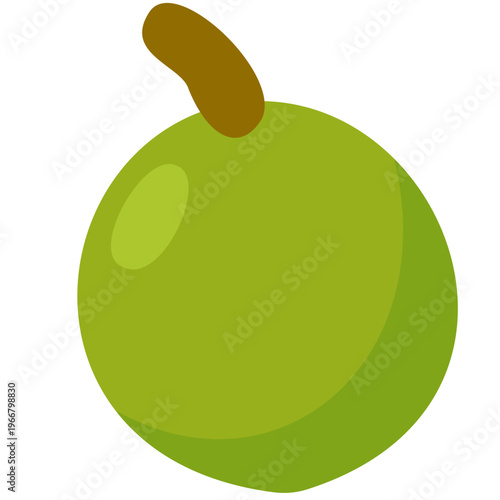Green lime fruit, citrus ingredient, vegetable icon, healthy food, natural flavor, cooking essential, and fresh kitchen illustration.