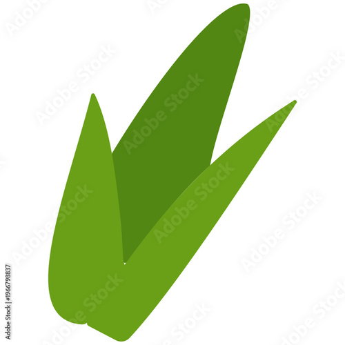 Green aloe vera leaves, medicinal plant, vegetable icon, natural healing, health care, organic herb, and wellness essential illustration.