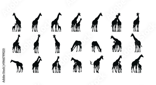 Collection of black giraffe silhouettes in various poses and interactions isolated on a clean white background representing wildlife and family bonds