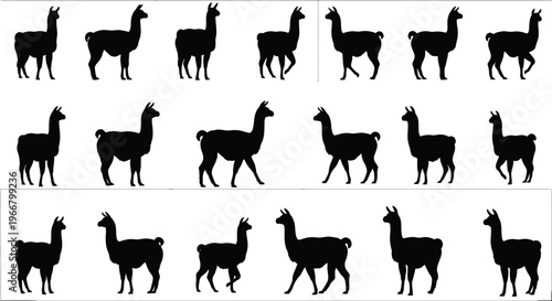 Collection of black llama silhouettes in various poses and movements isolated on a clean white background showcasing a versatile graphic resource for design projects