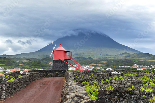 Cuadro en lienzo Red windmill stands under volcano on Pico Island, surrounded by volcanic vineyar