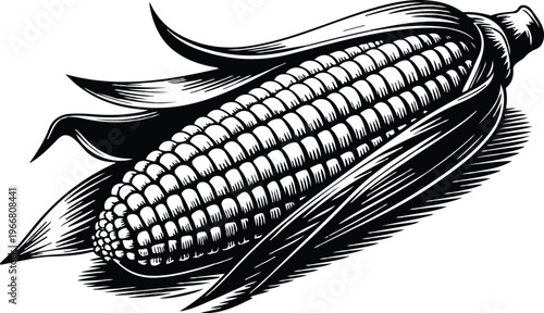 Hand-drawn woodcut style corn cob illustration with peeled husks and textured kernels dynamic brushstroke minimal black and white design