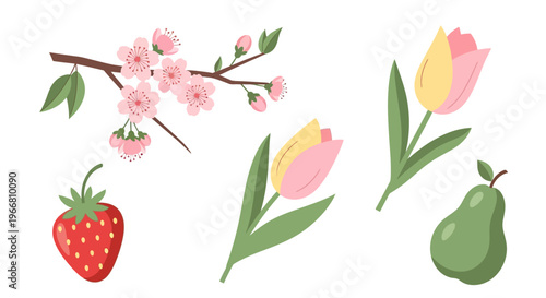 Colorful illustrations of flowers and fruits on white background including cherry blossoms