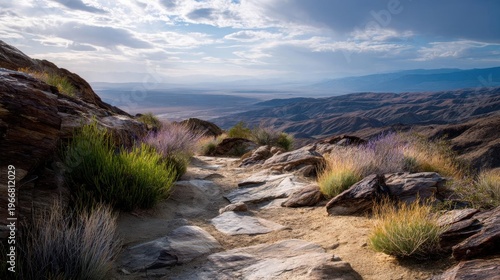 Landscape photograph of a rocky trail in a desert-like area. the trail is made of large rocks and boulders, and is surrounded by shrubs and bushes.