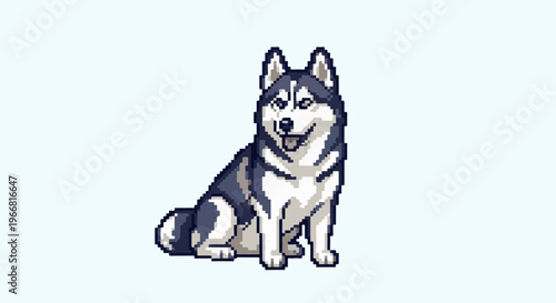 Pixel art of a Siberian husky sitting on a light blue background