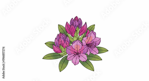 Pink and purple flowering buds and open blossoms