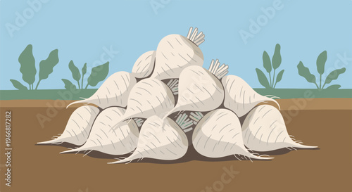 Pile of white root vegetables with green tops in a brown field