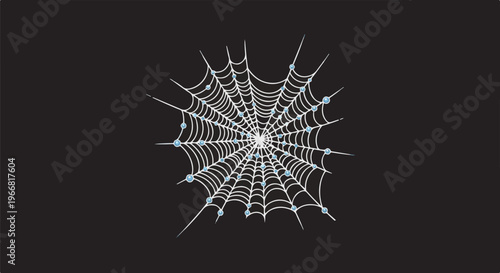 Intricate spider web with sparkling dew drops against a dark background