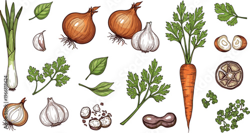 Hand drawn vegetables vector set with onion garlic carrot herbs and mushroom sketch style illustration isolated on white background