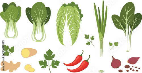 Leafy vegetables vector set with bok choy lettuce spinach spring onion chili and ginger fresh food illustration isolated on white background