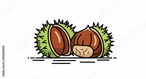 Two brown chestnuts, one open revealing seeds, on white