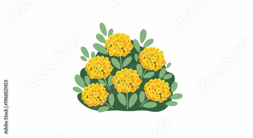 A cluster of yellow flowers and green leaves against a white backdrop